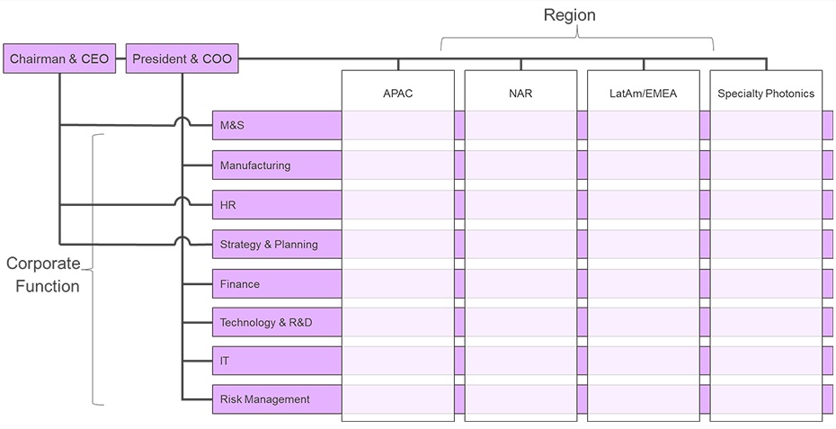 Lightera corporate structure