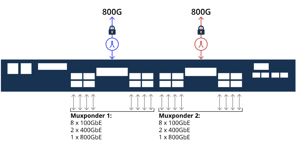 PacketLight PL-8000M Diagram