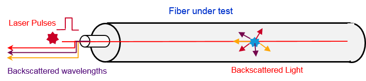Fiber Sensor Under Test