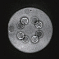 Fibre cross-section image, tailored for fibre with complex internal structure