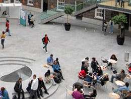 WDM Solutions for Research and Education