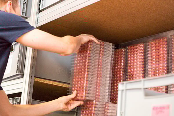 Fibre optic equipment and solutions range at AusOptic